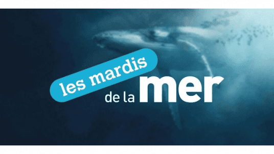 MARDIS DE LA MER – 25 MARS 2025 - UNE ÉTONNANTE RÉALITÉ : ¼ DU SPORT FRANÇAIS EST NAUTIQUE