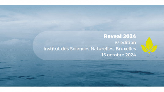 Reveal Green Marine Europe 2024